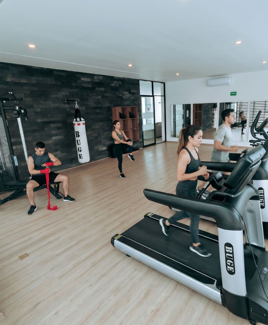 Gimnasio